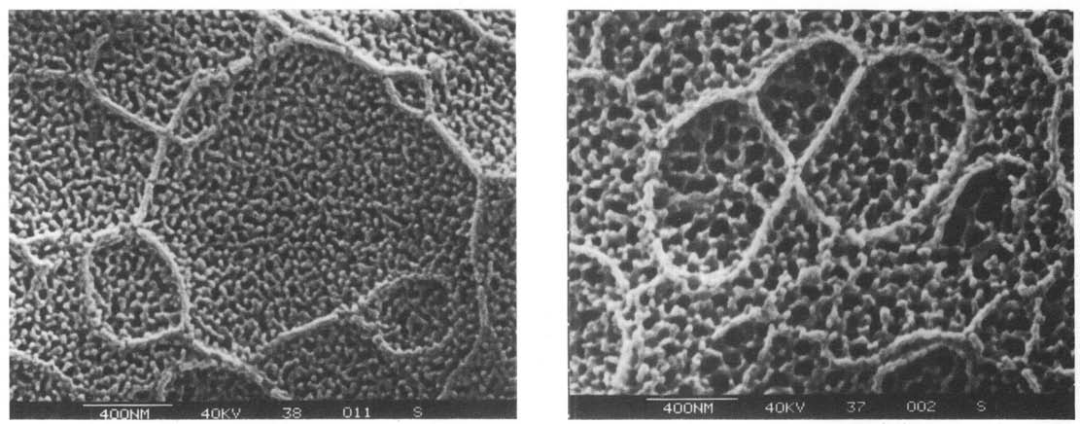 阳极氧化技术 | 为铝合金穿上抗“蚀”外衣 | 助铝合金上天入海的图13