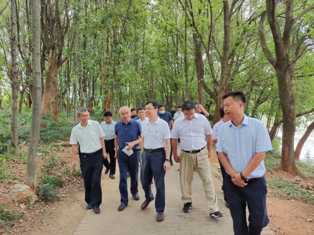 安庆“两湖三河”水环境治理项目顺利通过验收