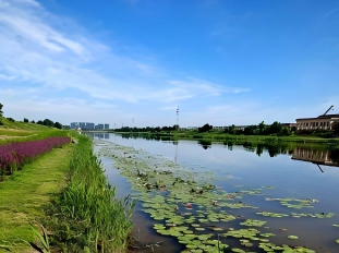 《河湖污染底泥洗脱净化暨生境修复工程技术规程》编制工作正式启动