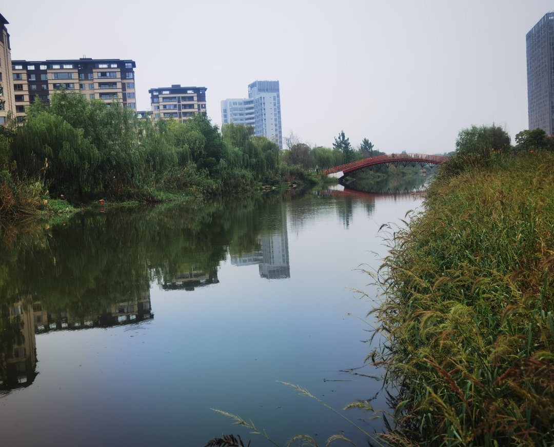 安庆“两湖三河”水环境治理项目顺利通过验收