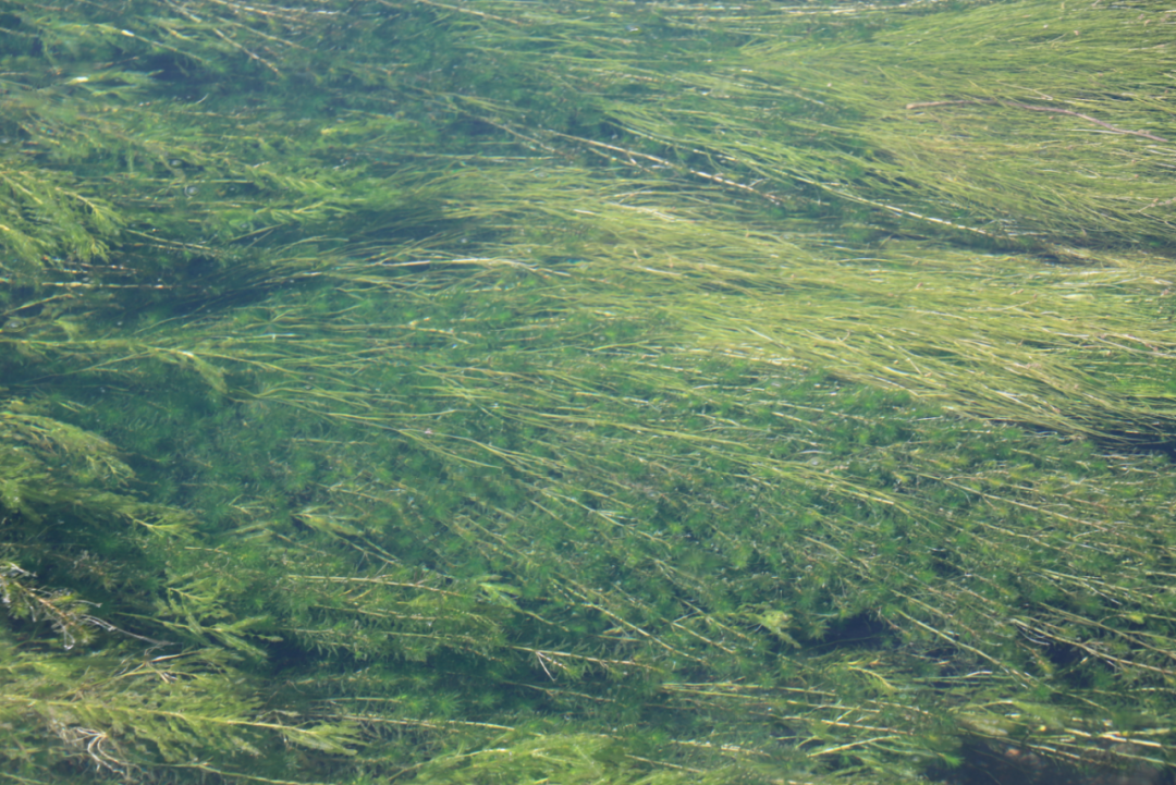 底泥洗脱技术产业化入选2025年生态环境科技成果转化典型案例