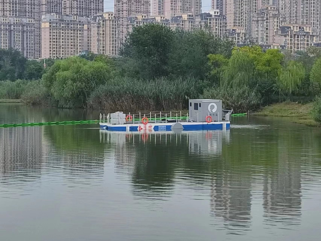雷克環(huán)境蚌埠龍子湖水質(zhì)改善示范工程順利驗(yàn)收