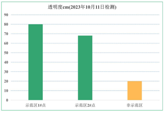 雷克环境蚌埠龙子湖水质改善示范工程顺利验收