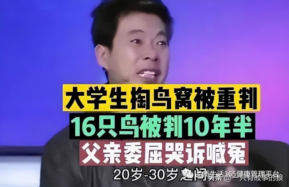 “掏鸟案”男子出狱，身价1500万