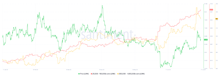 鲸鱼正在秘密积累这些 DeFi 代币
