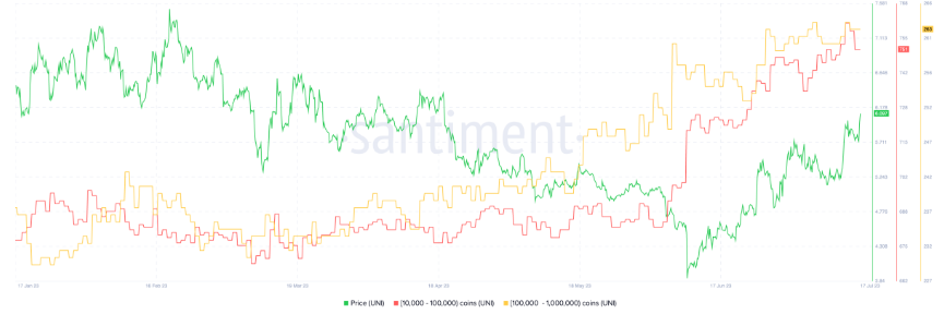 鲸鱼正在秘密积累这些 DeFi 代币
