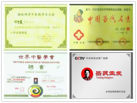 岳灵获取的荣誉