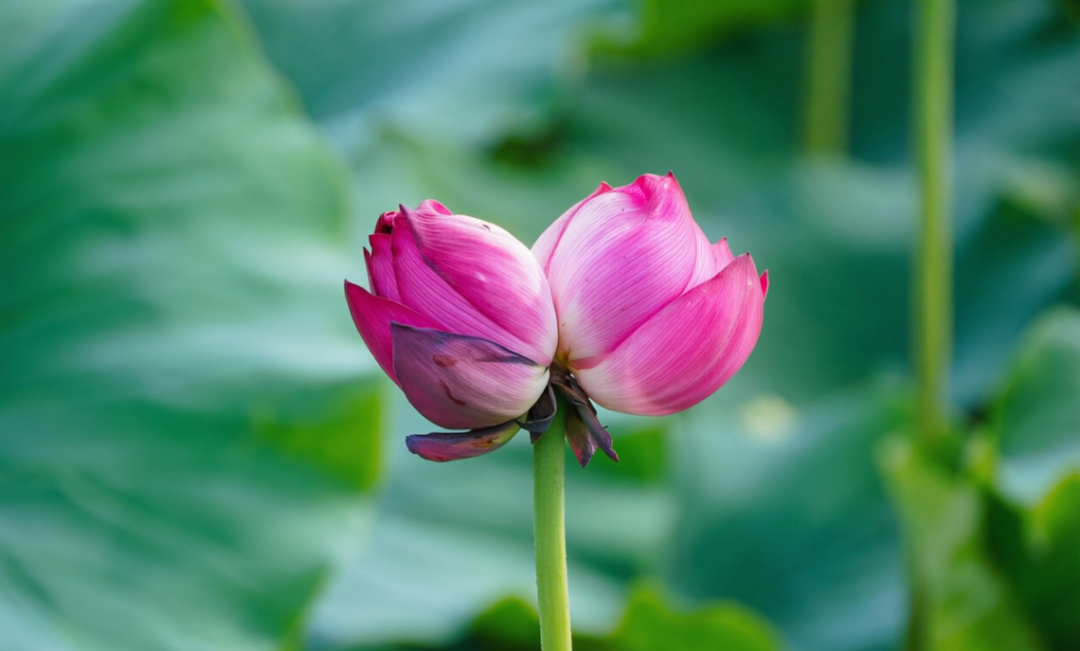 image_377380710921511.png