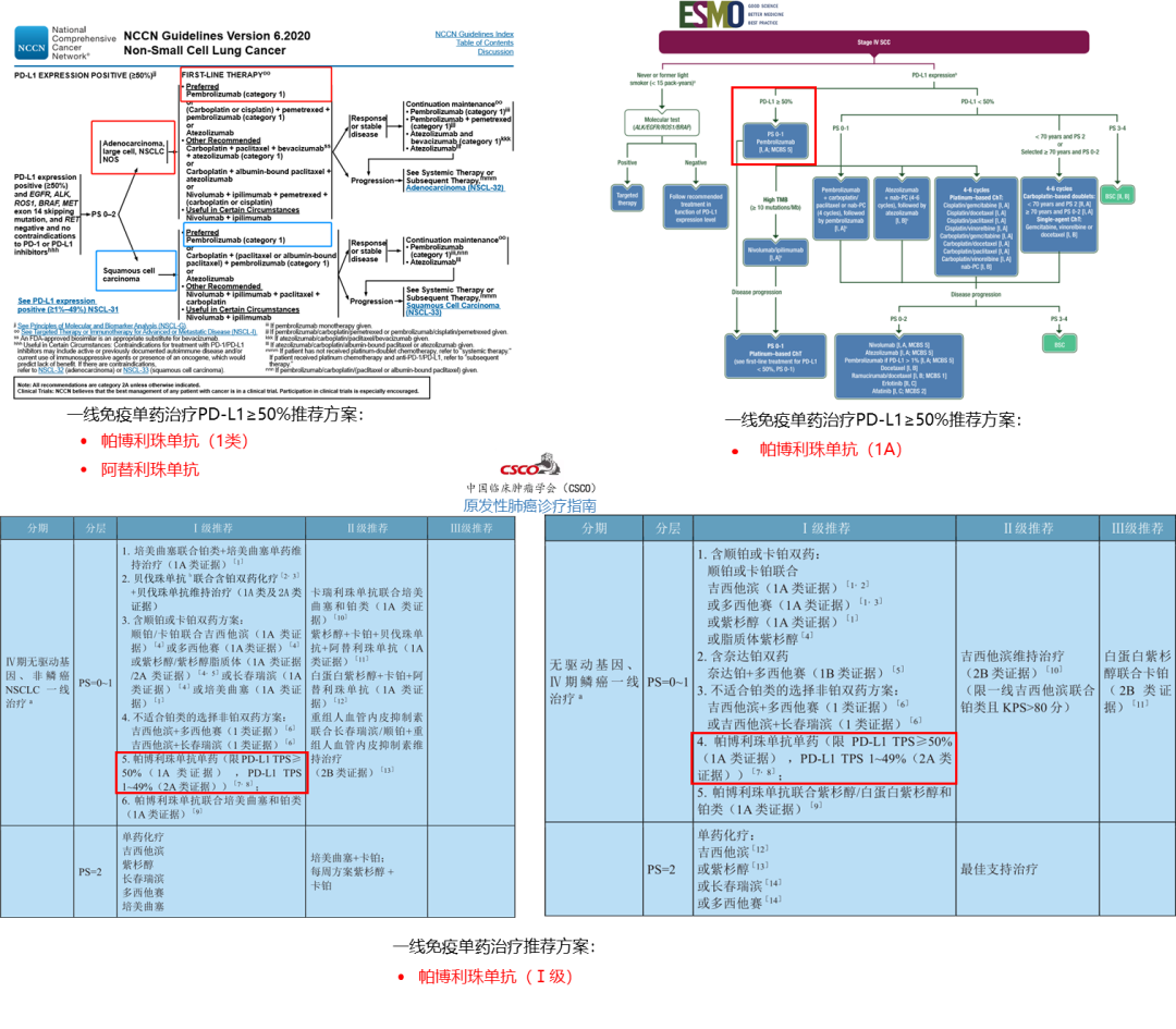 ESMO前瞻：K藥為什麼更牛 健康 第10張