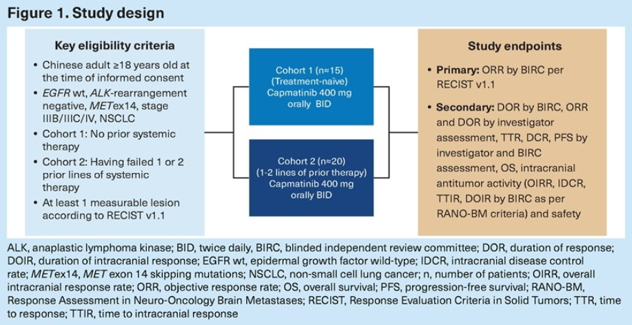 卡马替尼国内获批上市，MET ex14跳跃突变非小细胞肺癌一线再迎新药！