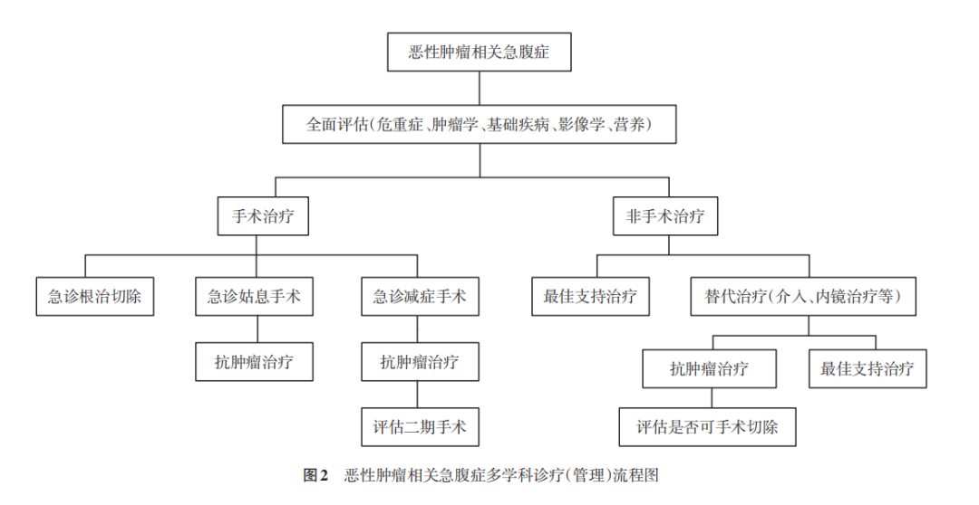 腫瘤患者急性腹痛的治療，中國專家共識來啦！ 健康 第2張