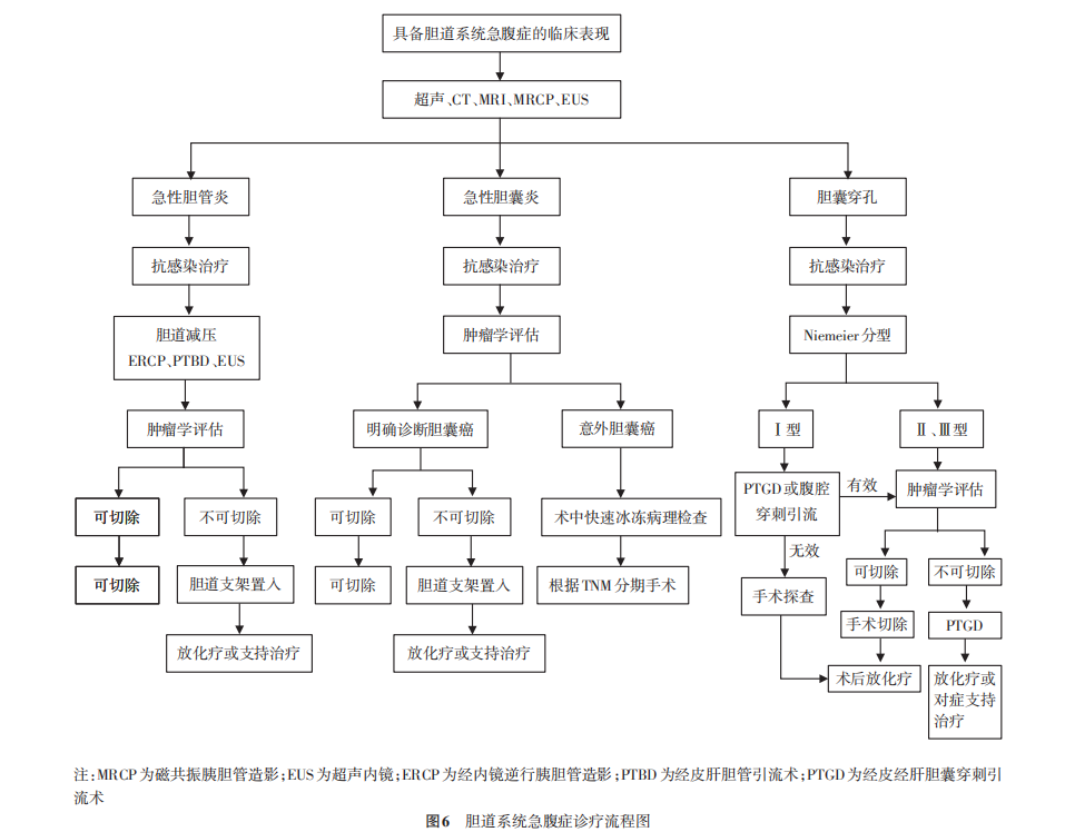 腫瘤患者急性腹痛的治療，中國專家共識來啦！ 健康 第5張