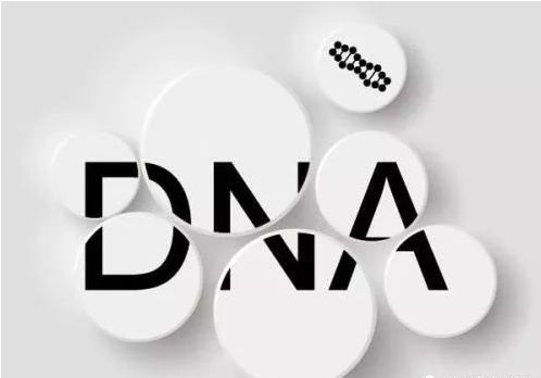 教你如何识别一家亲子鉴定中心是骗子机构...