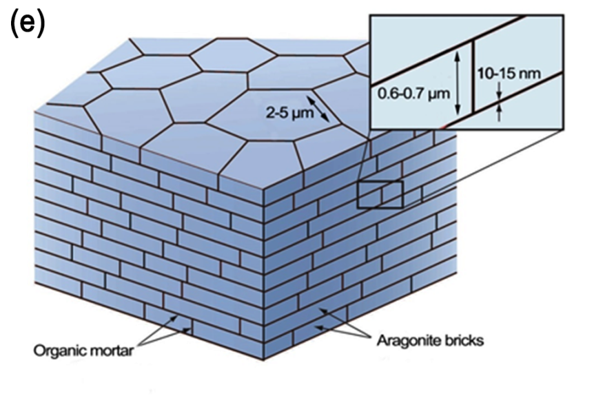 【科普系列】金属与陶瓷“强强联合”---金属陶瓷层状复合材料的图3