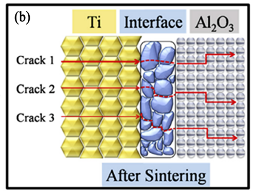 【科普系列】金属与陶瓷“强强联合”---金属陶瓷层状复合材料的图6