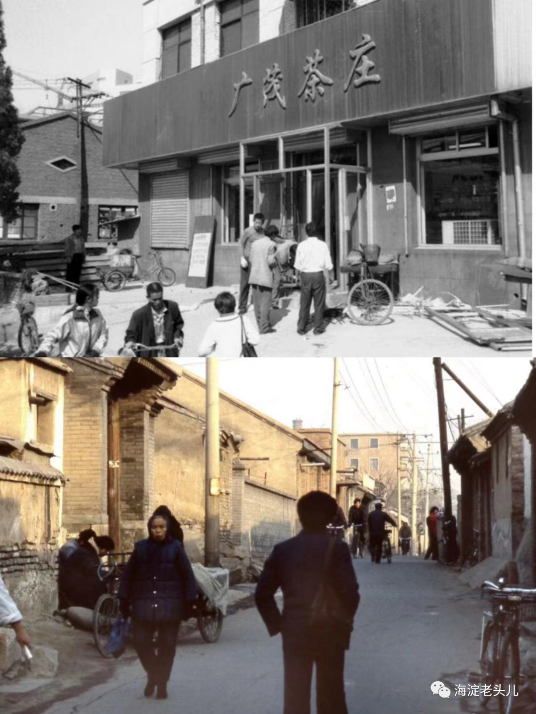 茶叶店名字大全 海淀的故事（五十二）老虎洞 茶叶店