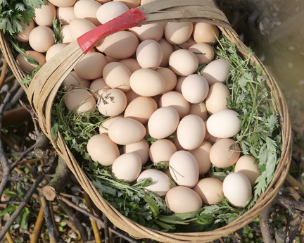 減肥健康方法是什么_健康減肥方法_減肥健康方法大全