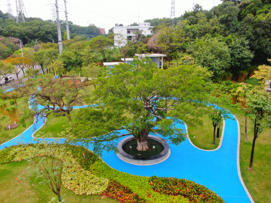 DJI_0020.JPG