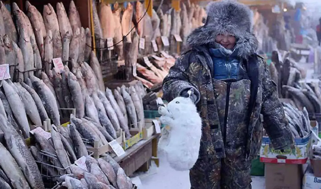 零下71℃！世界最冷的地方，北极熊扛不住，挖坟需要3天，仅有500人居住，却有无数人抢着来