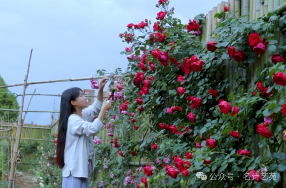 自媒体创业：从0到1的实战经验分享