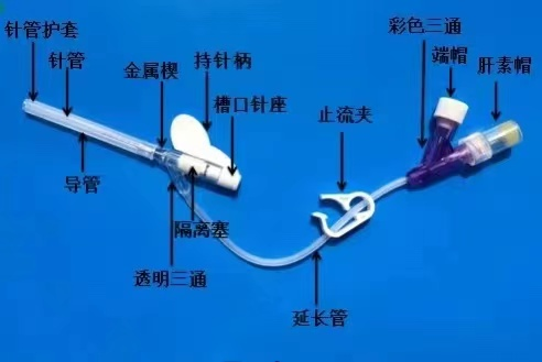 为什么输血不能用小针【健康科普】为什么护士会给你选择留置针？_https://www.jmylbn.com_新闻资讯_第11张