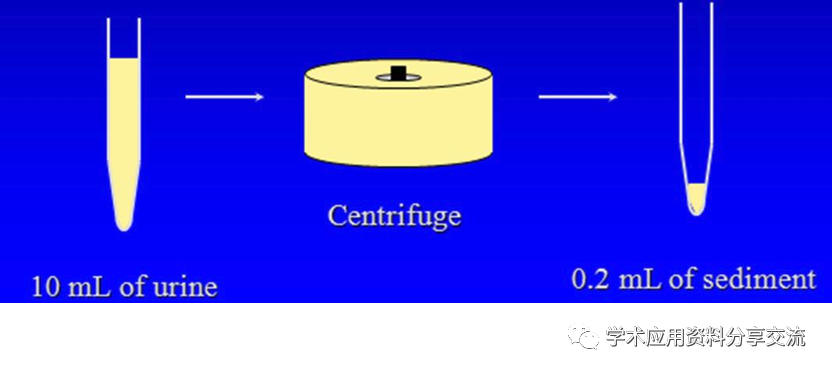 尿沉渣仪器怎么使用尿沉渣镜检和仪器定量计数的转换关系_https://www.jmylbn.com_新闻资讯_第3张