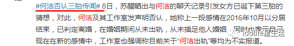 婚内出轨被洗白成真心相爱？撒谎精何洁啊，你可要点脸吧！（组图） - 51