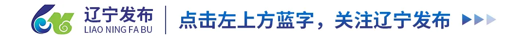 【辽宁发布】“数据要素？”辽宁分赛进行时丨倒计时6天！40组精英线上集结，备战决赛！