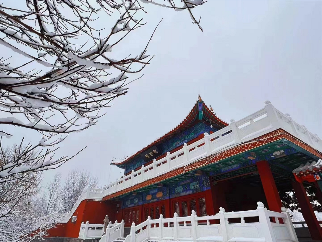 高清大图雪后的曹州牡丹园惊艳了菏泽