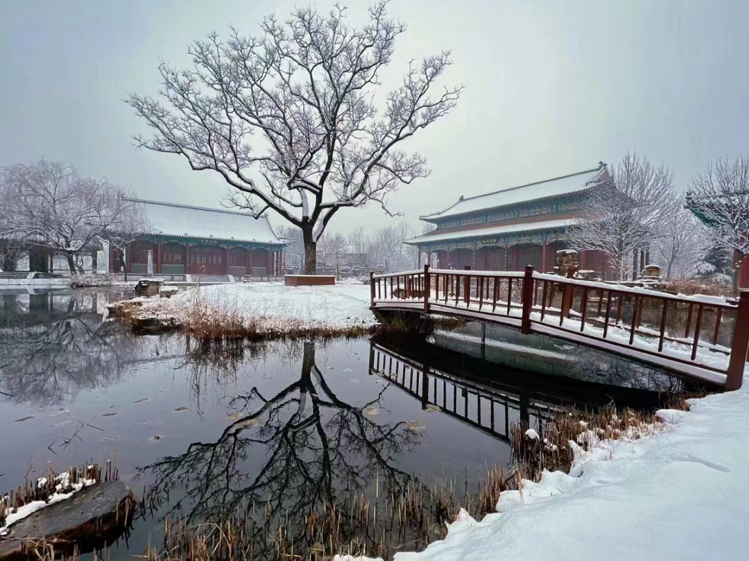 雪后的曹州牡丹园,惊艳了菏泽! - 好客山东网
