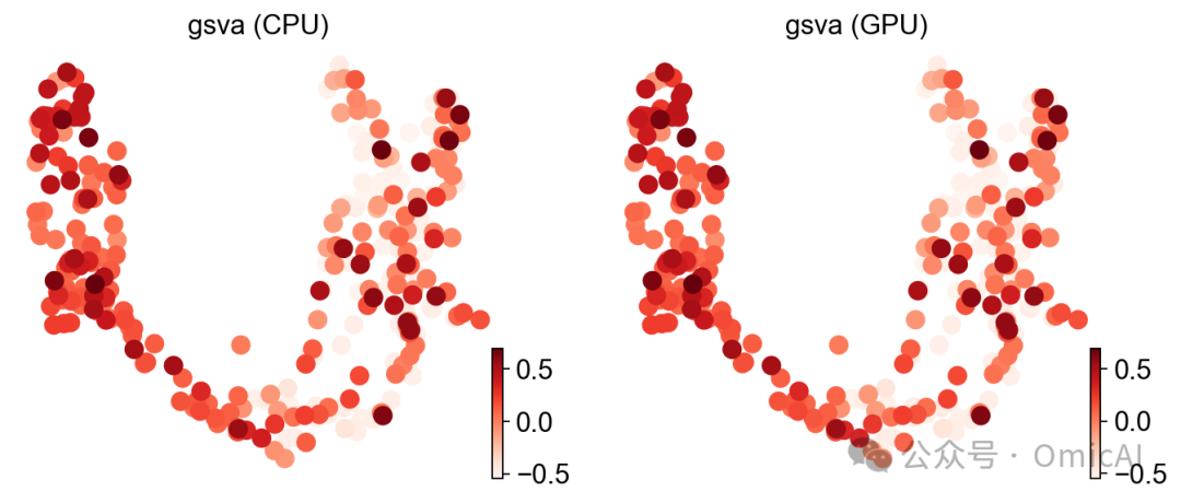 GSVA CPU 与 GPU 对比