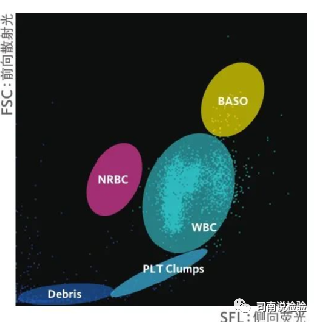 血常规用什么仪器检查血常规检验 - 白细胞散点图（上）_https://www.jmylbn.com_新闻资讯_第3张