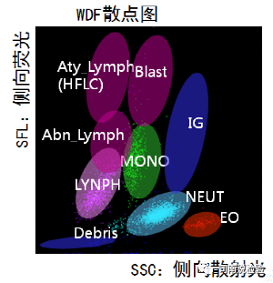 血常规用什么仪器检查血常规检验 - 白细胞散点图（上）_https://www.jmylbn.com_新闻资讯_第1张