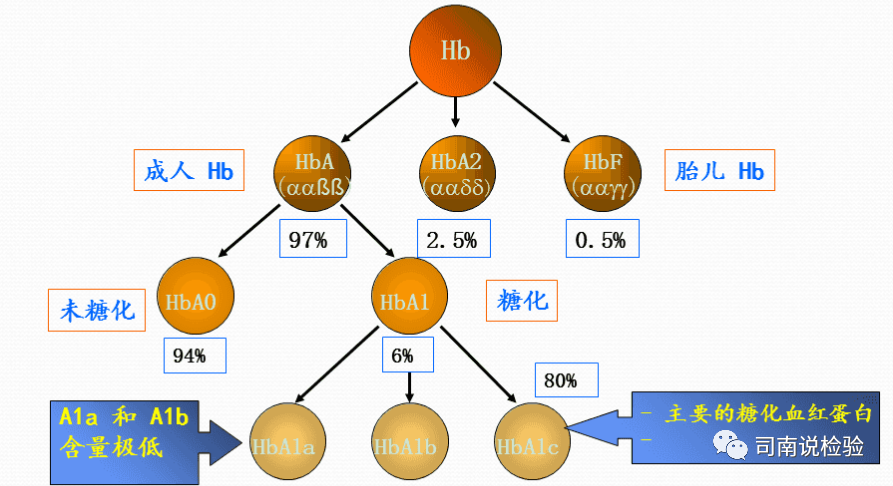 免疫生化是什么知识点132：细说生化免疫项目之糖化血红蛋白（HbA1c）_https://www.jmylbn.com_新闻资讯_第1张