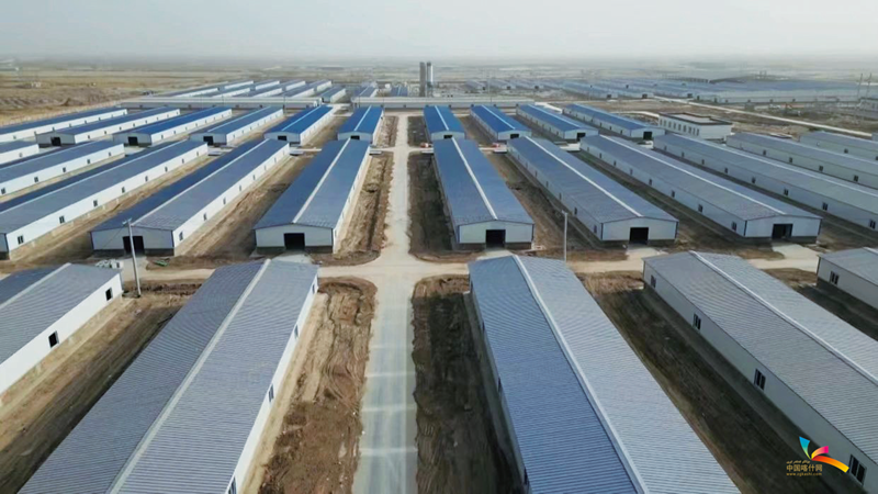 巴楚县现代农业产业园城南肉羊良繁基地。热孜万古·艾合麦提 摄