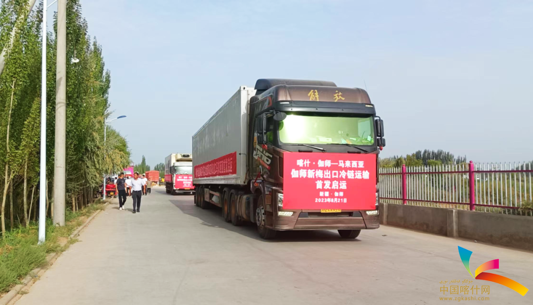 喀什·伽师—马来西亚伽师新梅出口冷链运输首发启运。霍然 摄