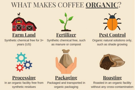 FitQ水母健康-生酮饮食