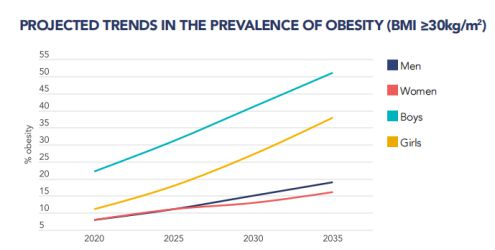 FitQ水母健康-生酮饮食