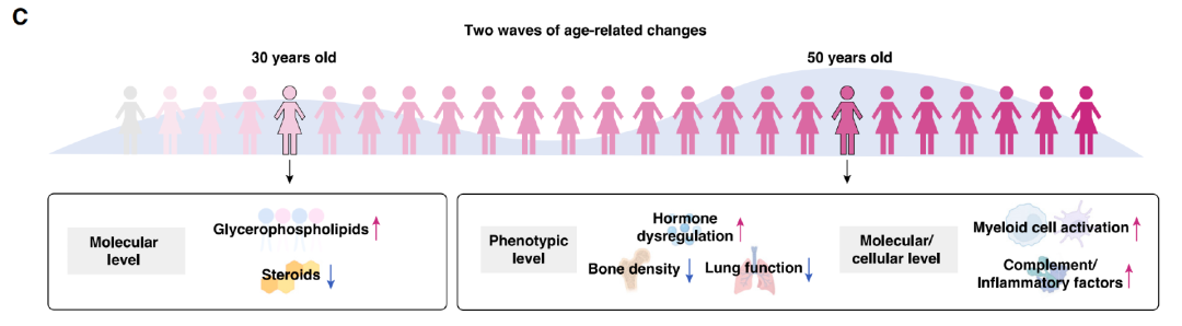 FitQ水母健康-生酮饮食