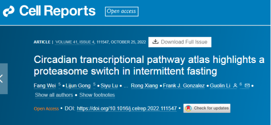 FitQ水母健康-生酮饮食