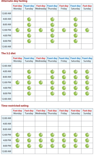FitQ水母健康-生酮饮食