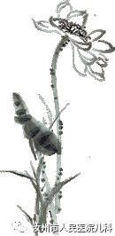 汝州市人民医院