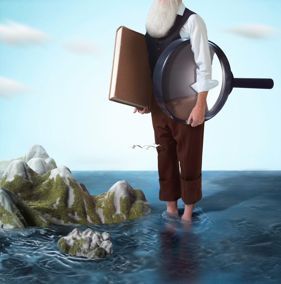 动物教会我的流体力学的图4