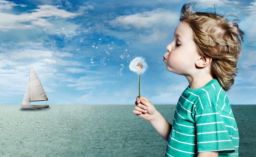 动物教会我的流体力学的图2