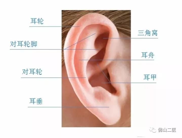 招风耳是好福气的兆头 医生告诉你那其实是先天缺陷 送矫正福利 佛山二医 微信公众号文章阅读 Wemp