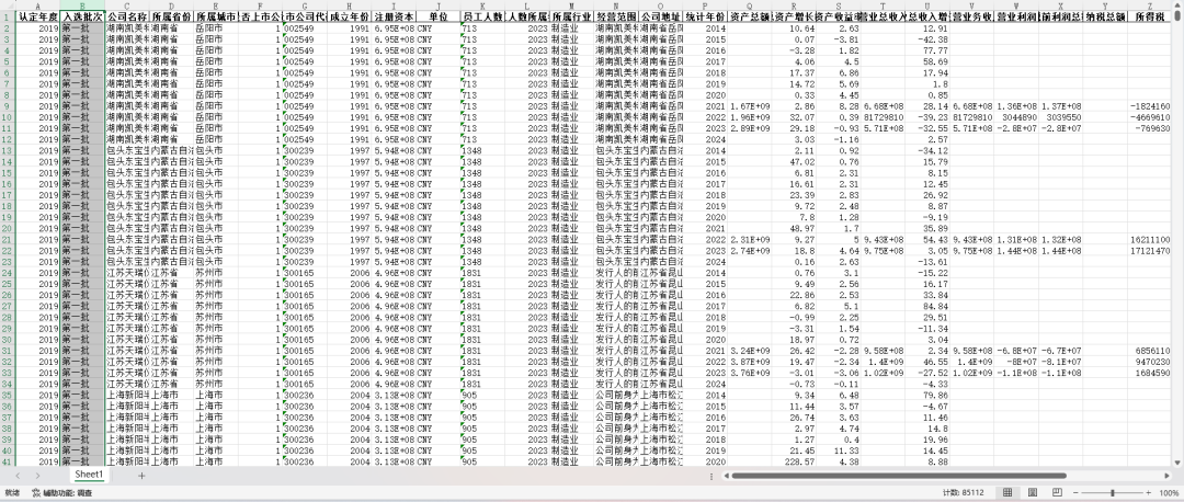 更新！专精特新小巨人-财务面板数据