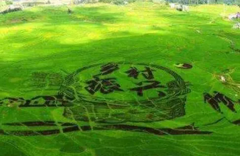 北京考核验收首个“美丽乡村”标准化试点 北京考核验收首个“美丽乡村”标准化试点