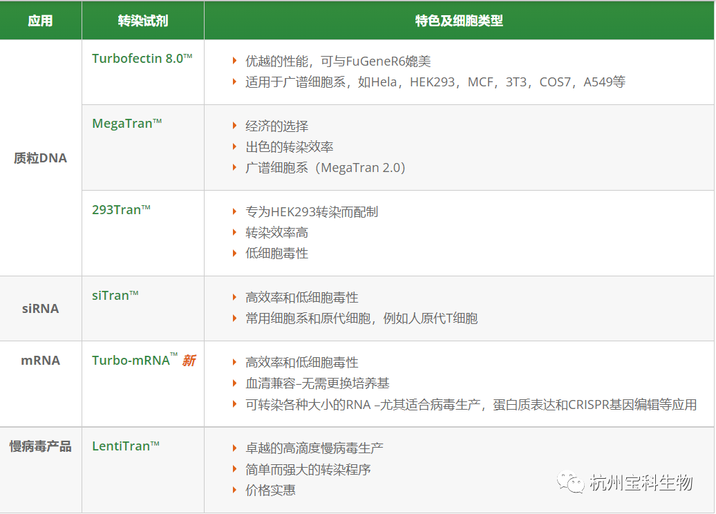 Turbofectin高效率转染试剂