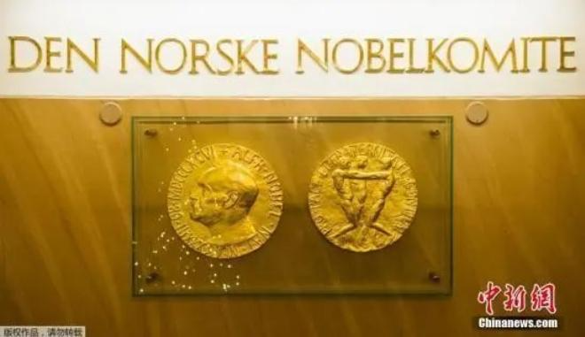 2025年诺贝尔生理学或医学奖揭晓！