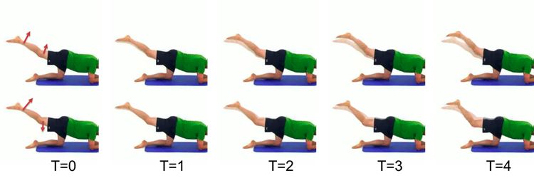 CVPR 2019 | 條件運動傳播：從運動中學習物體性質